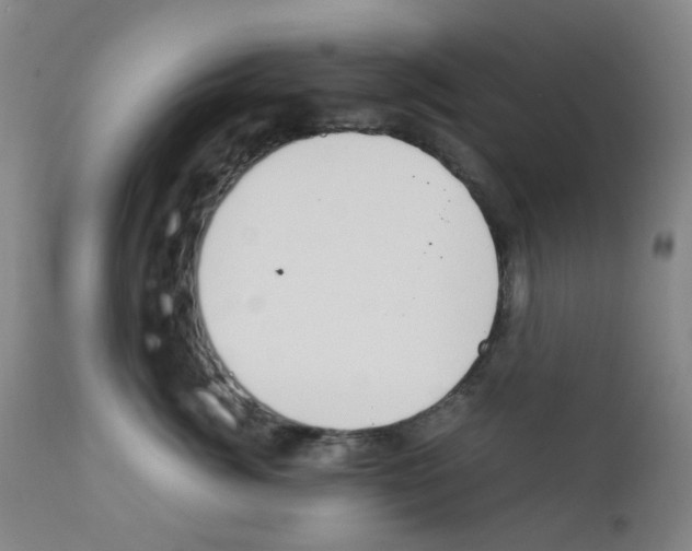 X0000111780764200909031133