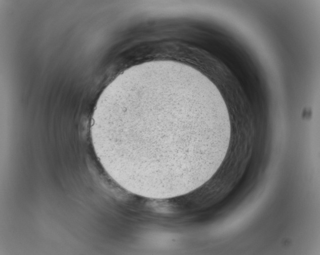 X0000111780767200909031133