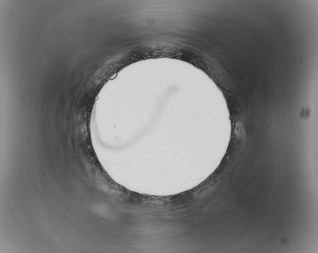 X0000111780771200909031132
