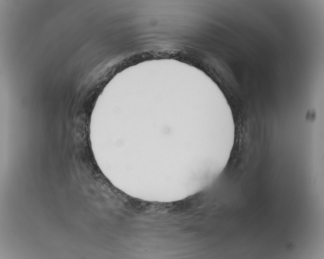 X0000111780773200909031132