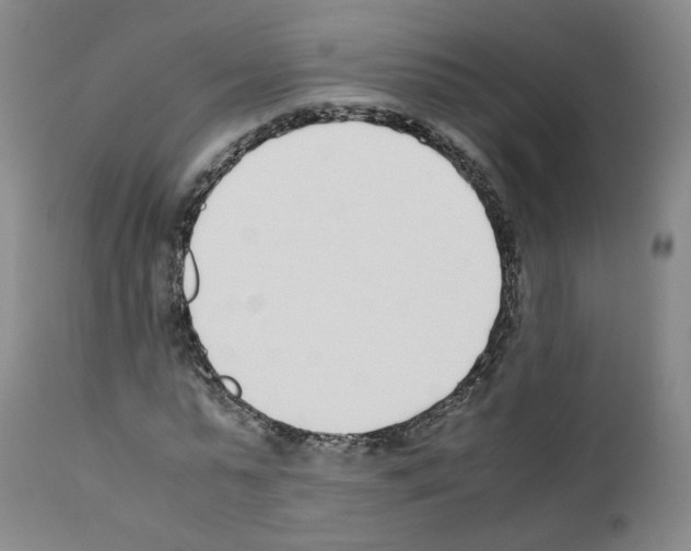 X0000111780775200909031132
