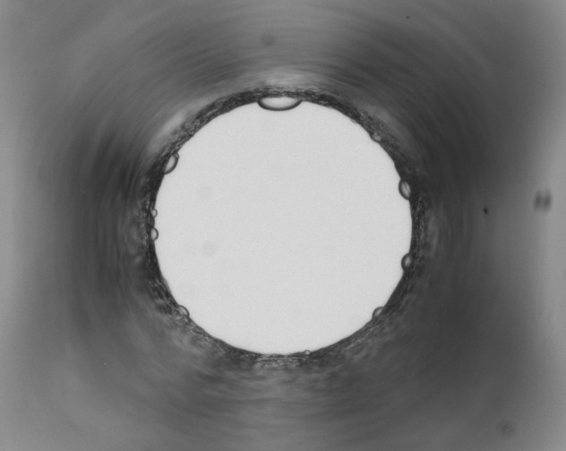 X0000111780776200909031132