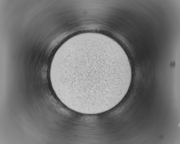 X0000111780778200909031132