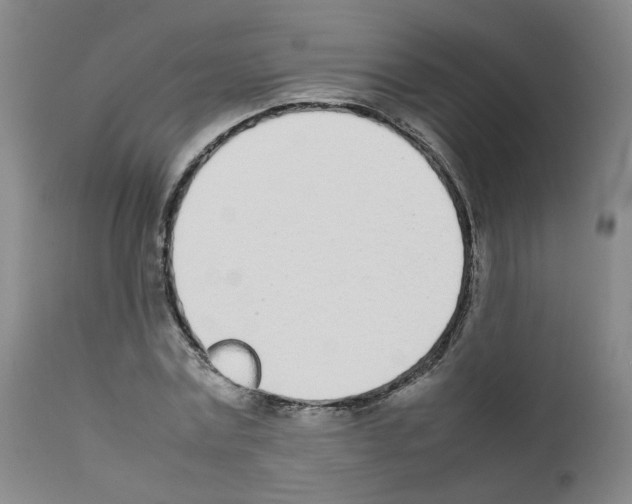 X0000111780779200909031132