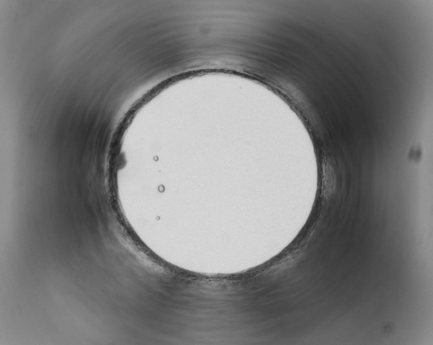 X0000111780780200909031132