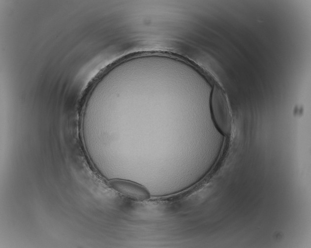 X0000111780781200909031132