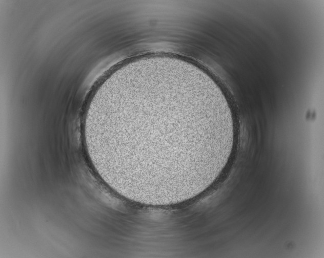 X0000111780782200909031132