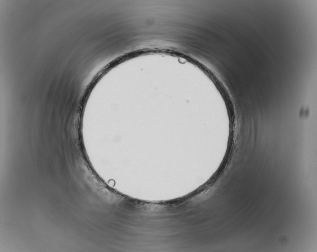 X0000111780783200909031132