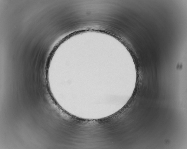 X0000111780784200909031132