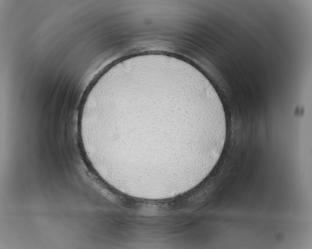 X0000111780790200909031132