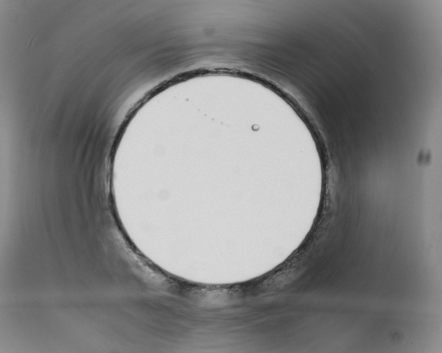 X0000111780791200909031132