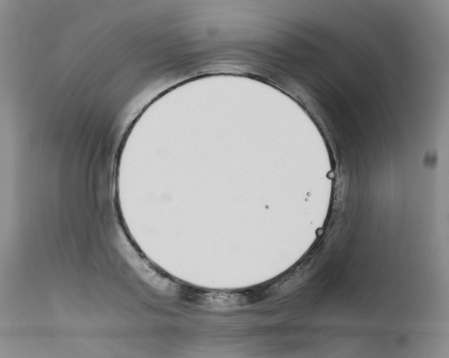 X0000111780795200909031132