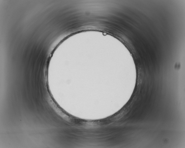 X0000111780796200909031132