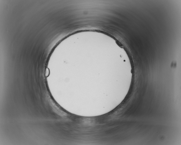 X0000111780797200909031132