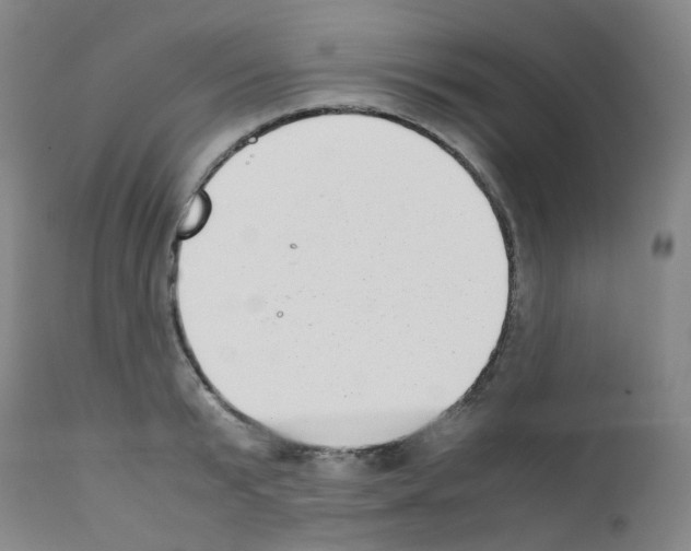 X0000111780799200909031132