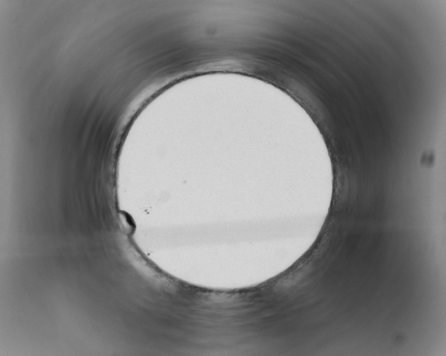 X0000111780800200909031132