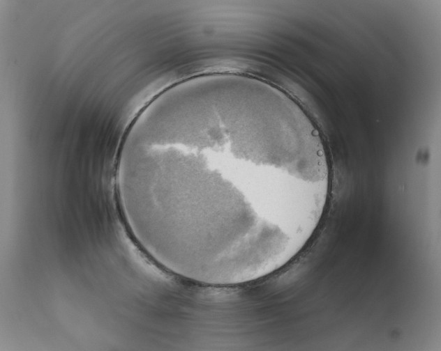 X0000111780802200909031132