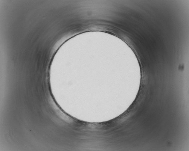 X0000111780803200909031132