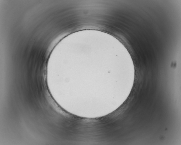 X0000111780804200909031132