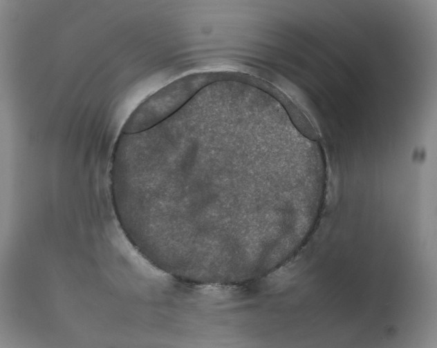 X0000111780805200909031132