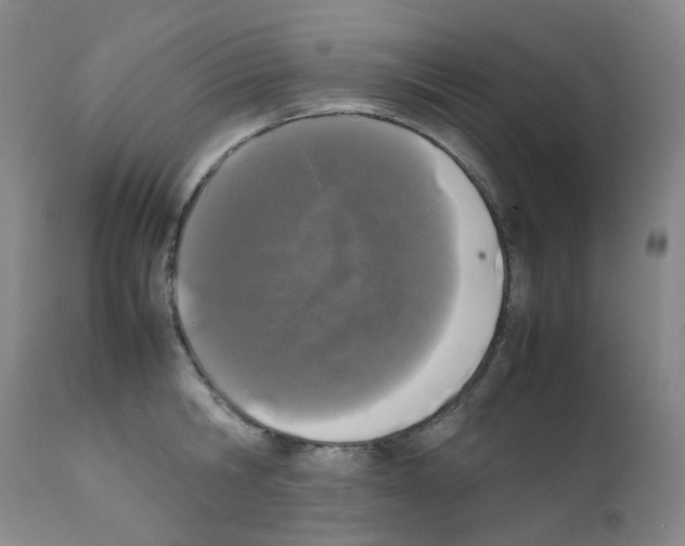 X0000111780806200909031132