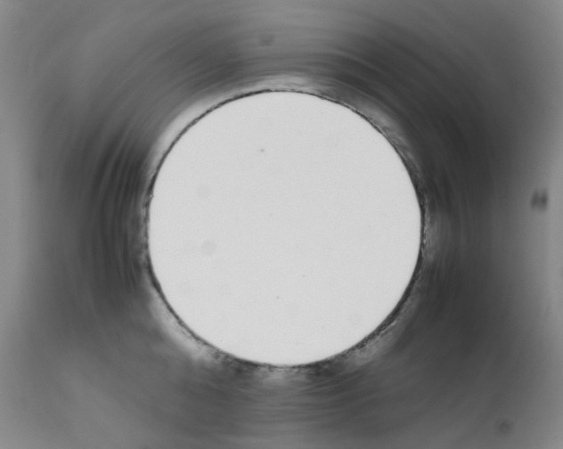 X0000111780808200909031132