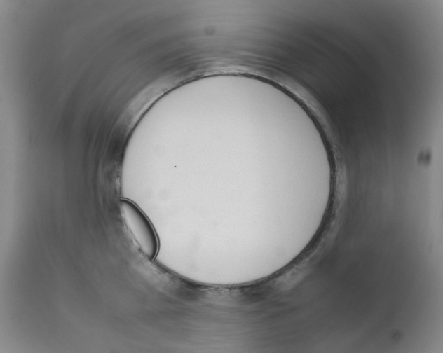 X0000111780809200909031132