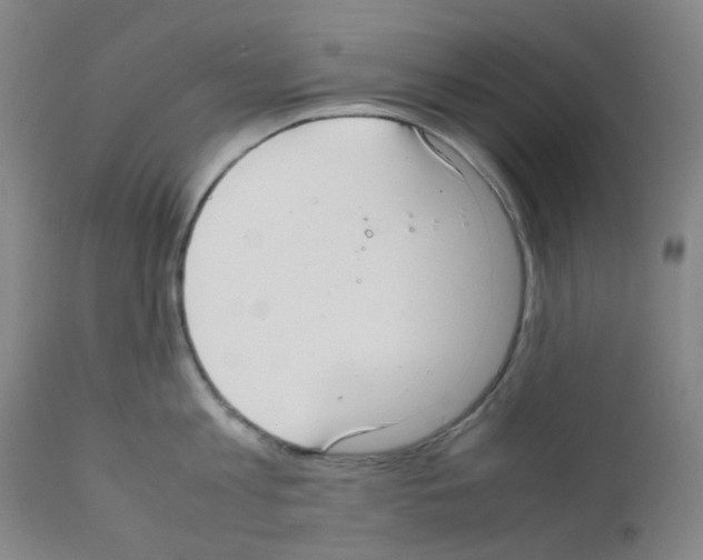 X0000111780813200909031132