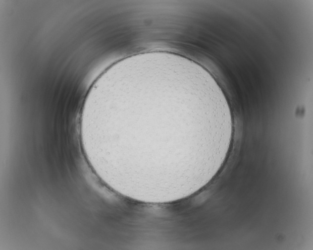 X0000111780814200909031132