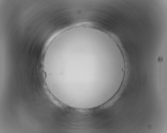 X0000111780816200909031131
