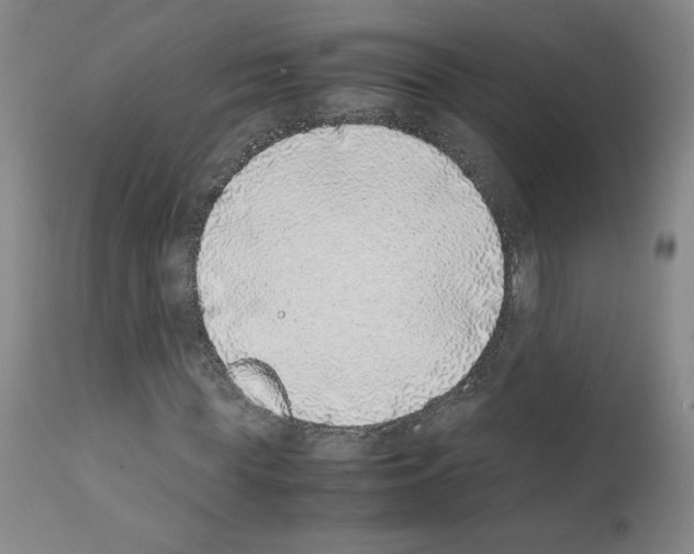 X0000111780819200909031131