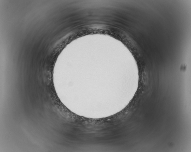 X0000111780821200909031131