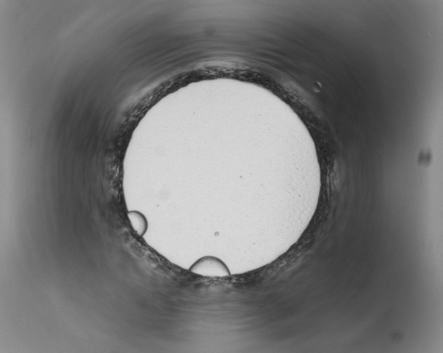 X0000111780822200909031131