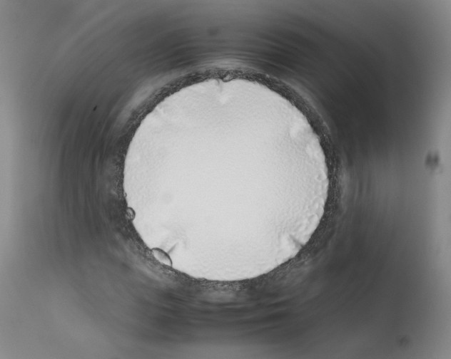 X0000111780823200909031131