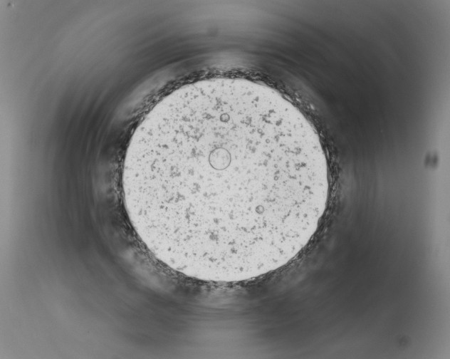 X0000111780824200909031131