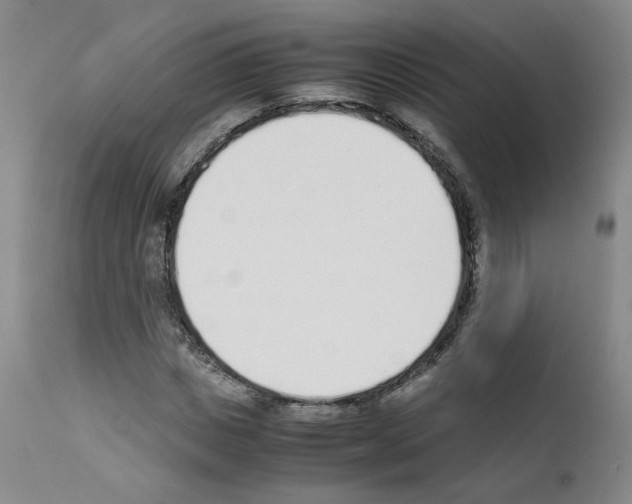 X0000111780825200909031131