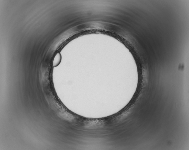 X0000111780826200909031131