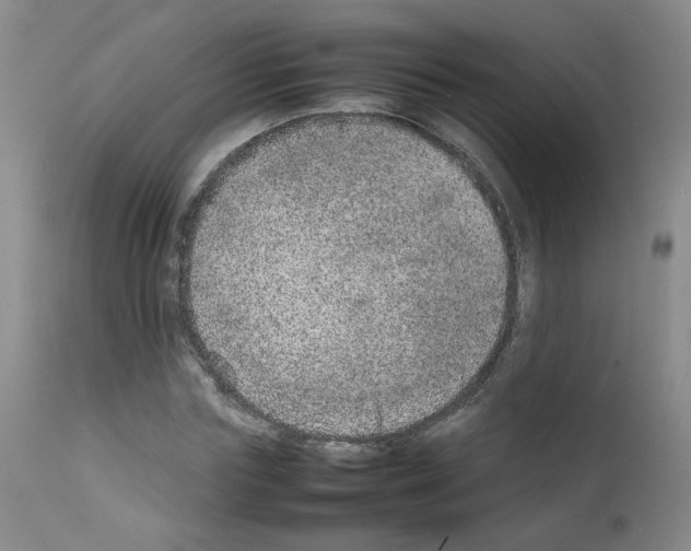 X0000111780827200909031131