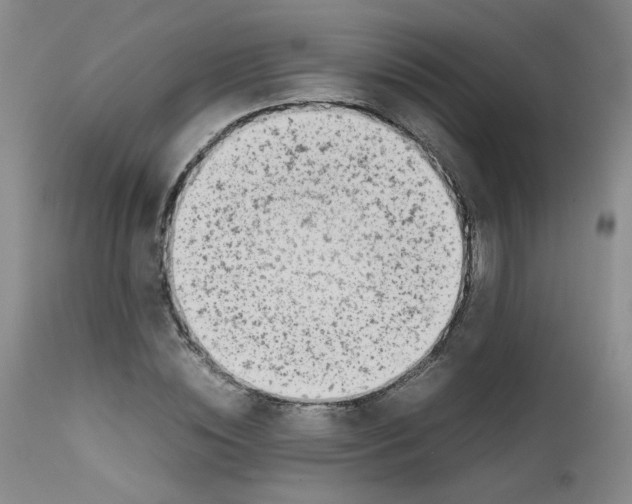 X0000111780828200909031131