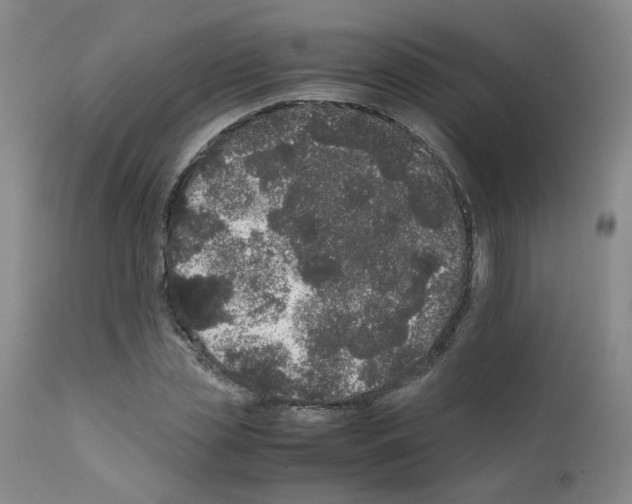 X0000111780829200909031131
