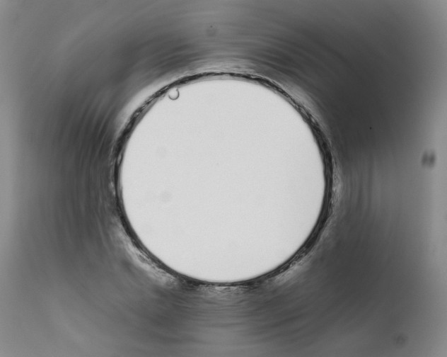 X0000111780830200909031131