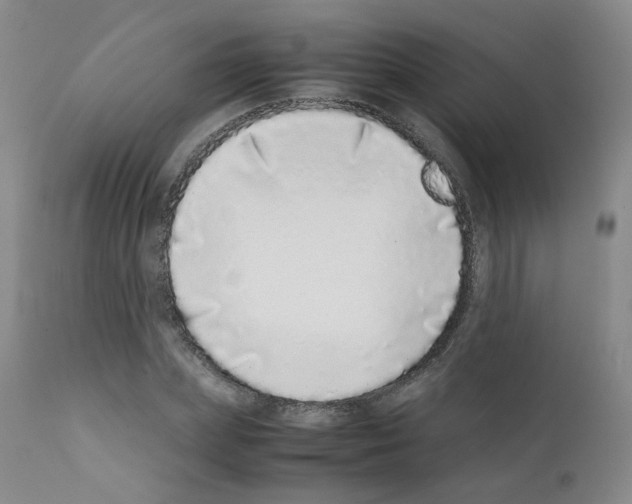 X0000111780831200909031131
