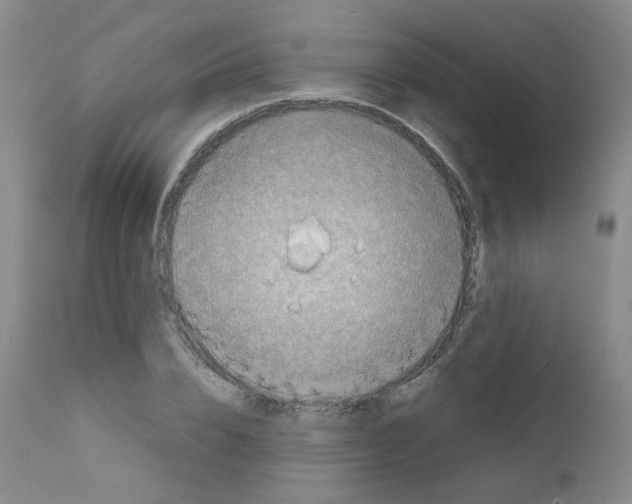 X0000111780832200909031131