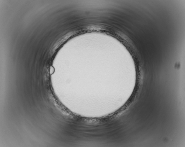 X0000111780833200909031131