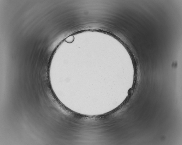 X0000111780834200909031131