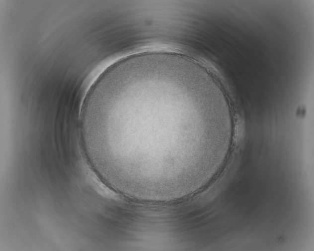 X0000111780836200909031131