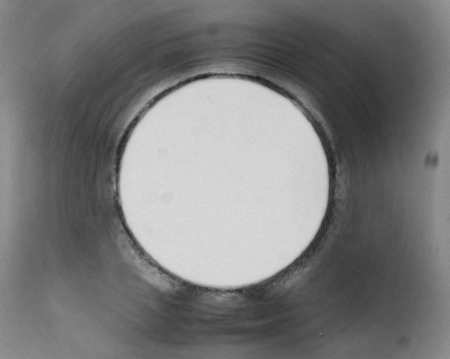 X0000111780837200909031131