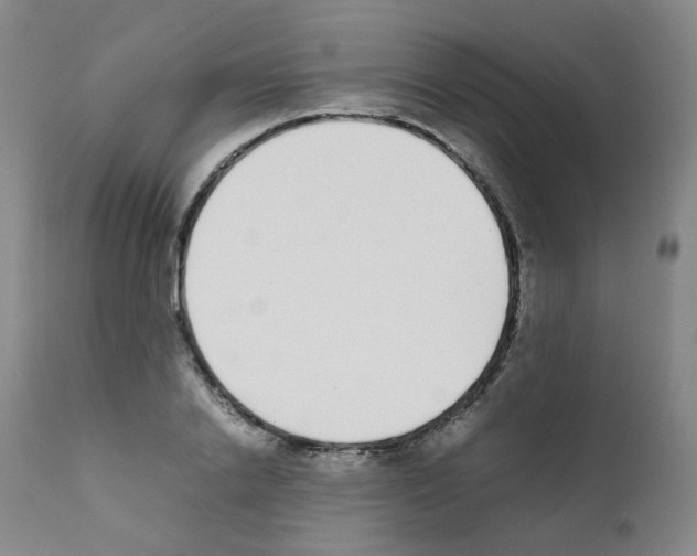 X0000111780838200909031131