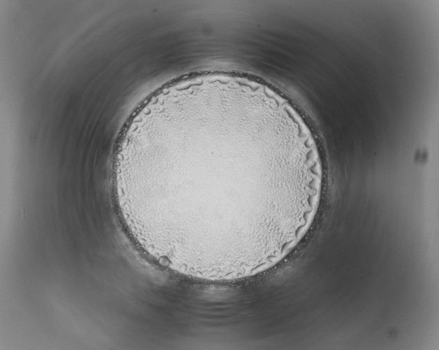 X0000111780839200909031131