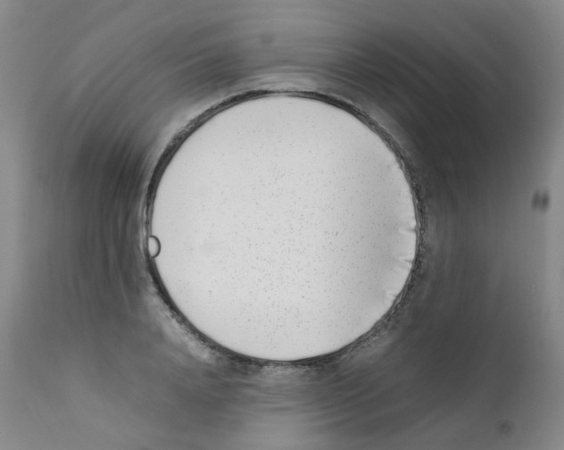 X0000111780840200909031131